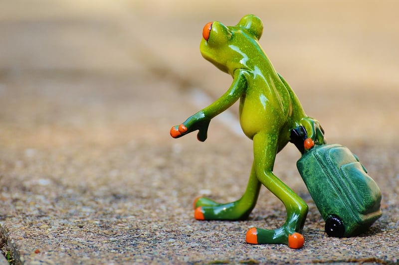 Travel Consultancy